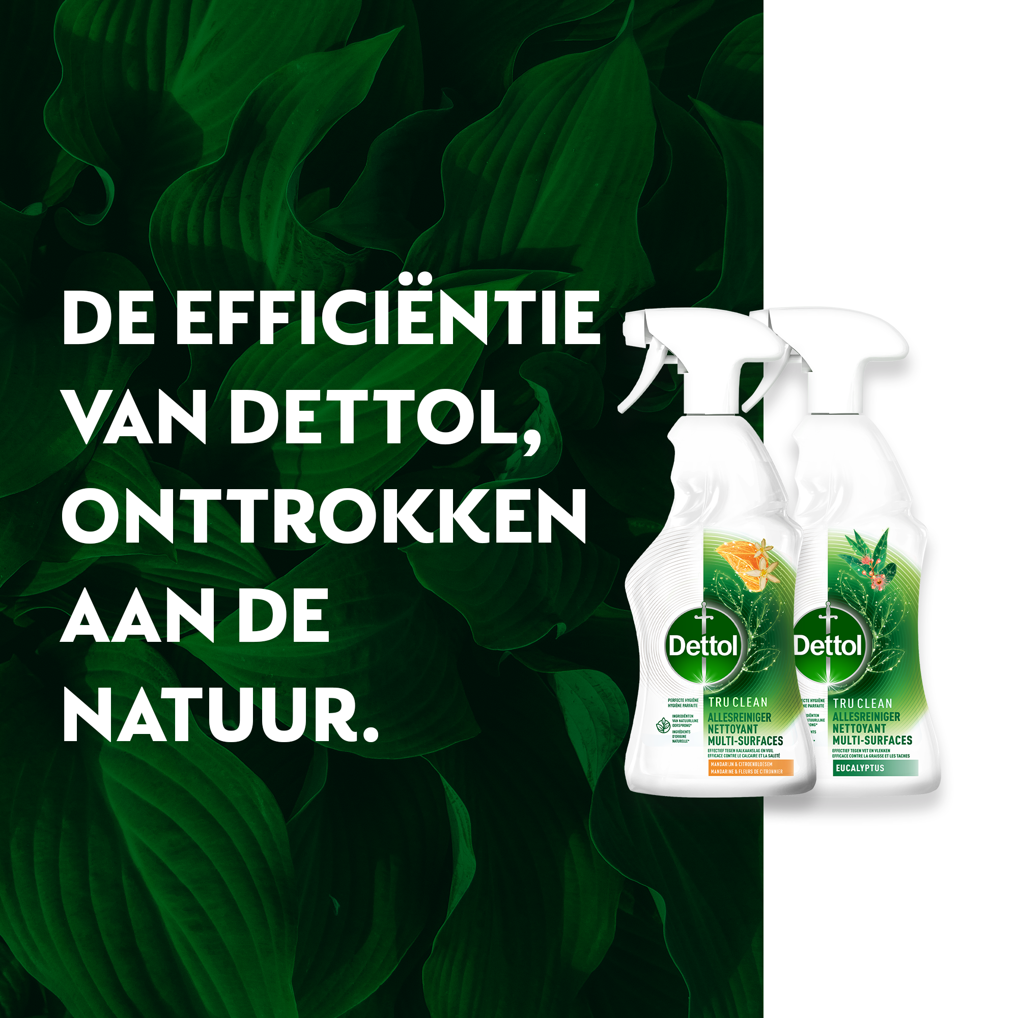 Dettol - 1L Allesreiniger Spray Tru Clean - Mandarijn & Citroenbloesem 1x500 ml Eucalyptus 1x500ml - Voordeelverpakking