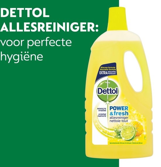 Dettol Allesreiniger Power & Fresh - Citrus - 1L x8
