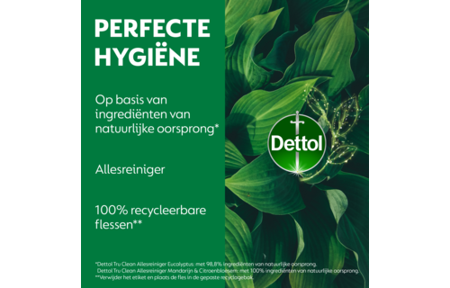 Dettol - 2L Allesreiniger Spray Tru Clean - Mandarijn & Citroenbloesem 2x500ml - Eucalyptus 2x500ml - Voordeelverpakking