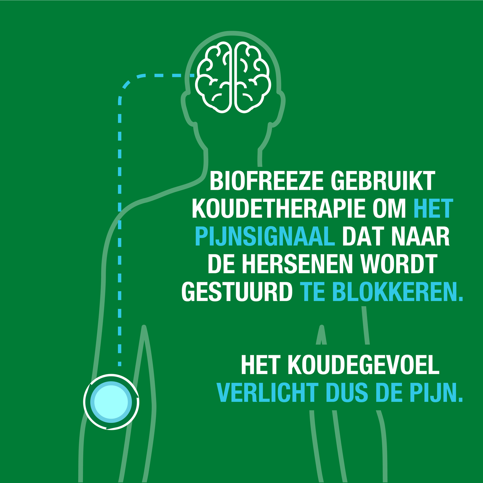 Biofreeze Roll-on 84g - Voordeelverpakking - 3 Stuks