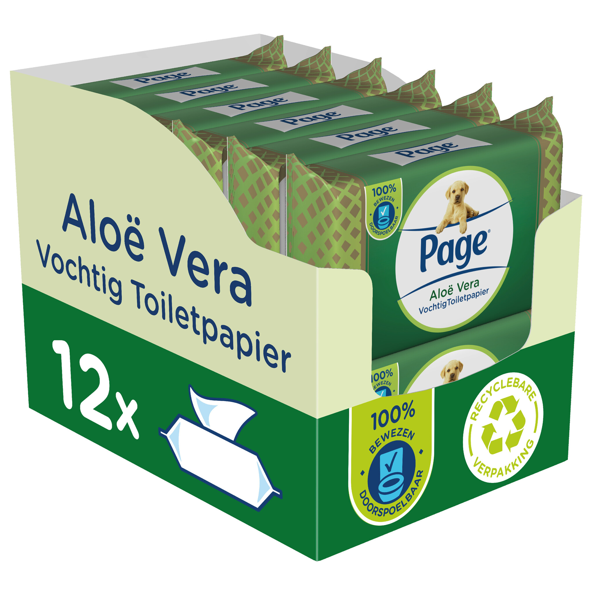 Page vochtig toiletpapier - 12 x 38 stuks - Aloë Vera vochtig wc papier - voordeelverpakking