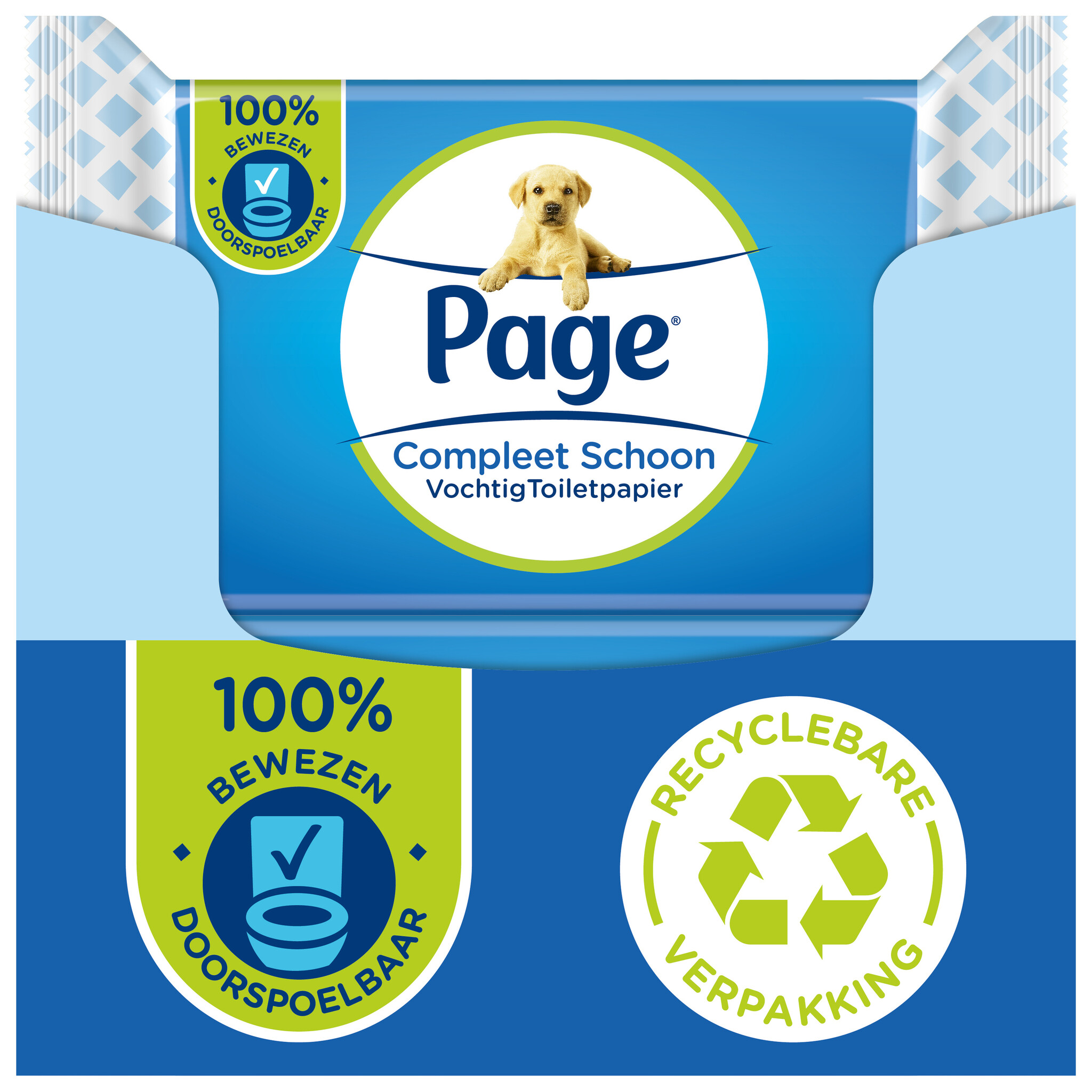 Page vochtig toiletpapier - 12 x 38 stuks - Compleet Schoon vochtig wc papier - voordeelverpakking