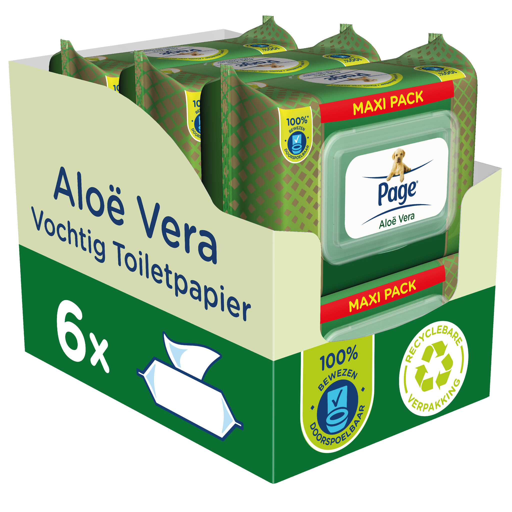 Page vochtig toiletpapier - 6 x 74 stuks - Aloë Vera maxi vochtig wc papier - voordeelverpakking