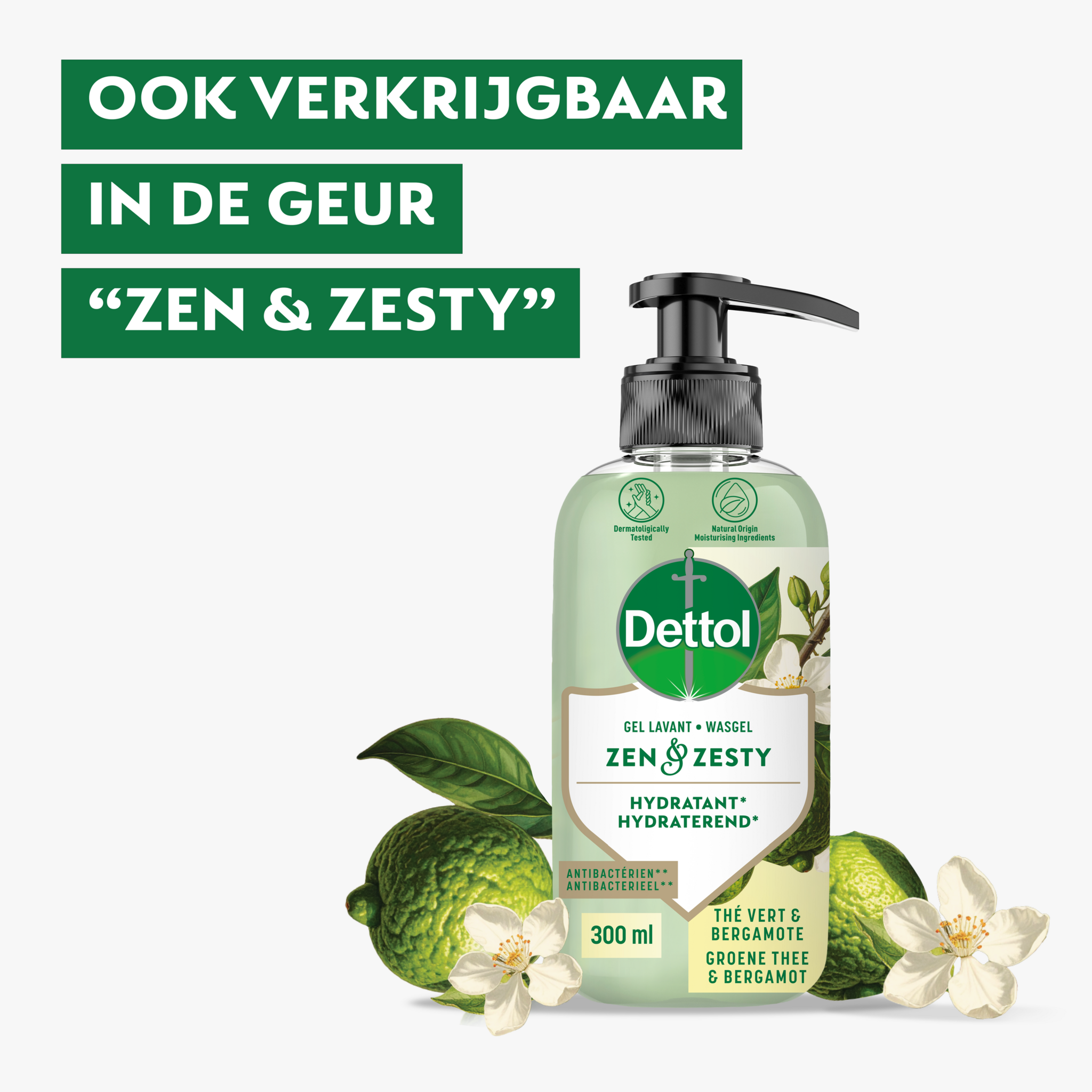 Dettol Handzeep – Antibacterieel – Zen & Zesty – Groene Thee & Bergamot – 300 ml x6