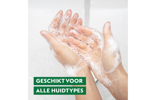 Dettol Handzeep – Antibacterieel – Zen & Zesty – Groene Thee & Bergamot – 300 ml x6