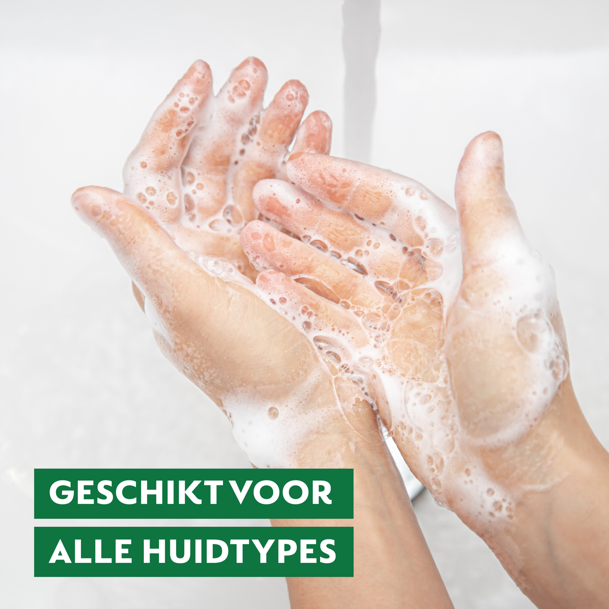 Dettol Handzeep – Antibacterieel – Zen & Zesty – Groene Thee & Bergamot – 300 ml x6