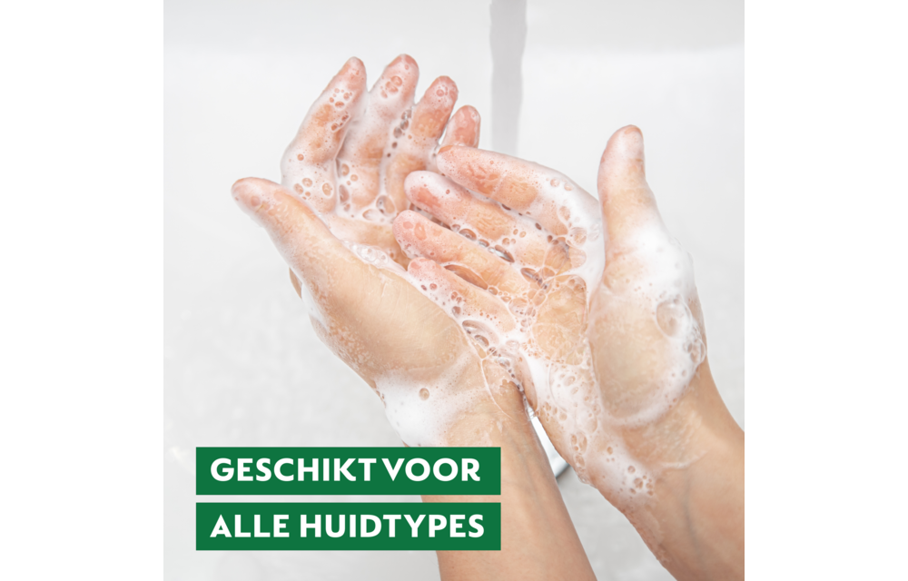 Dettol Handzeep – Antibacterieel – Zen & Zesty – Groene Thee & Bergamot – 300 ml x5