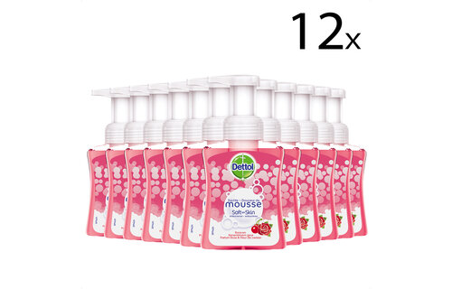 Dettol Mousse Rose & Cherryblossom 250ML - 12 Stuks - Voordeelverpakking