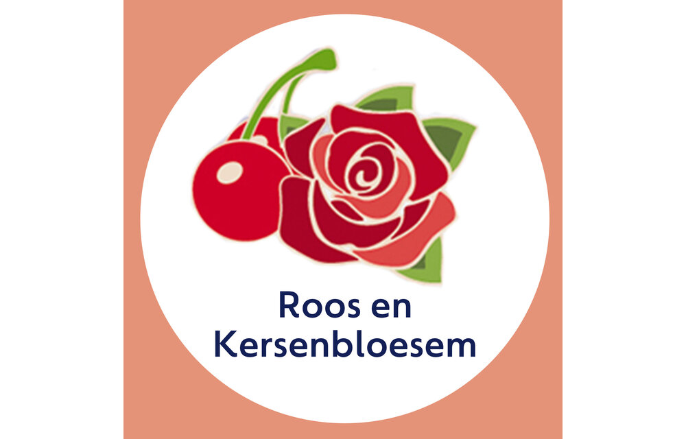 Dettol Mousse Rose & Cherryblossom 250ML - 12 Stuks - Voordeelverpakking