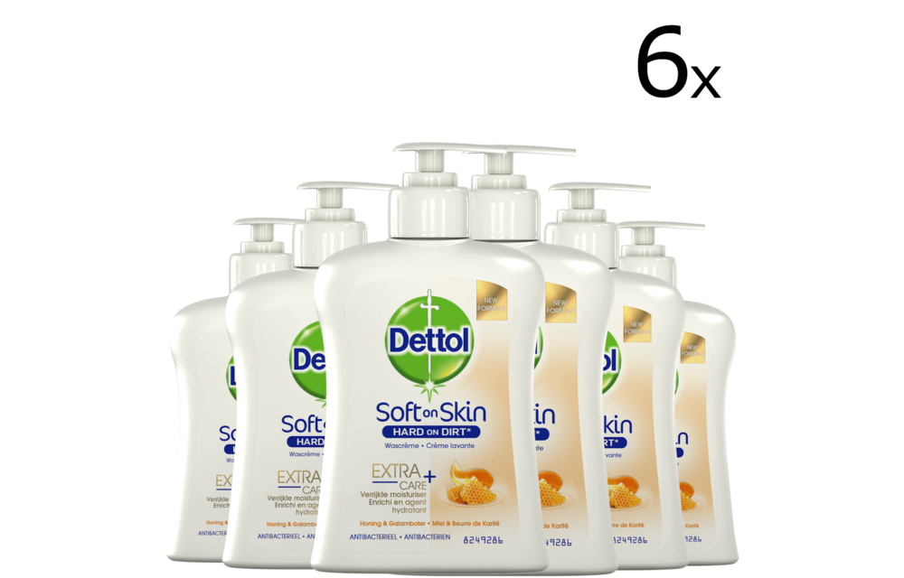 Dettol Handzeep - Extra Care Droge en Normale Huid Honing & Galamboter 250ml x6