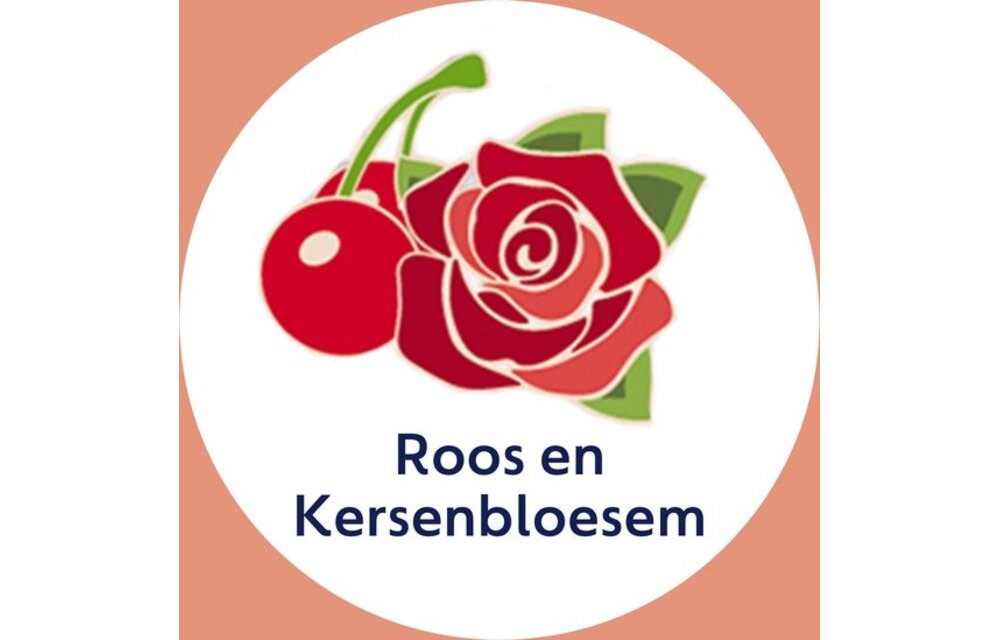 Dettol Mousse Rose & Cherryblossom 250ML - 4 Stuks - Voordeelverpakking
