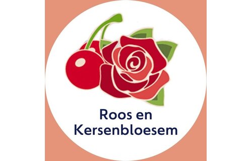 Dettol Mousse Rose & Cherryblossom 250ML - 4 Stuks - Voordeelverpakking
