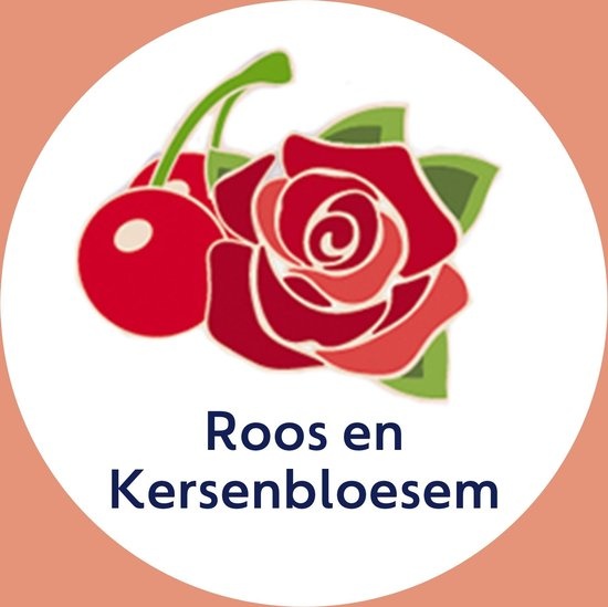 Dettol Mousse Rose & Cherryblossom 250ML - 4 Stuks - Voordeelverpakking