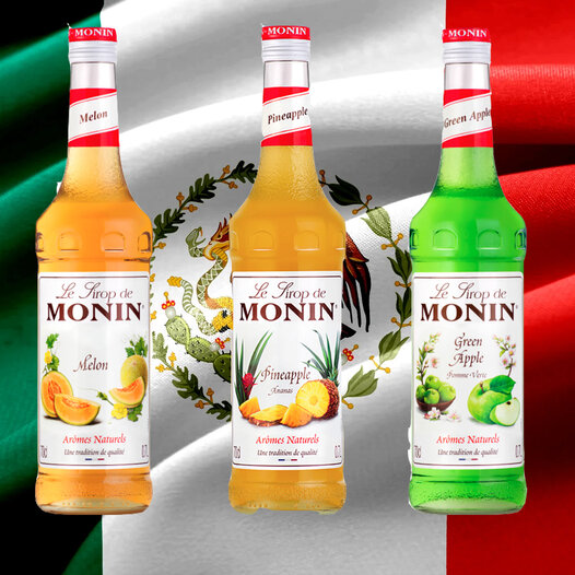 Monin Pure Sugar Cane syrup  Sherlocks Place Rotterdam