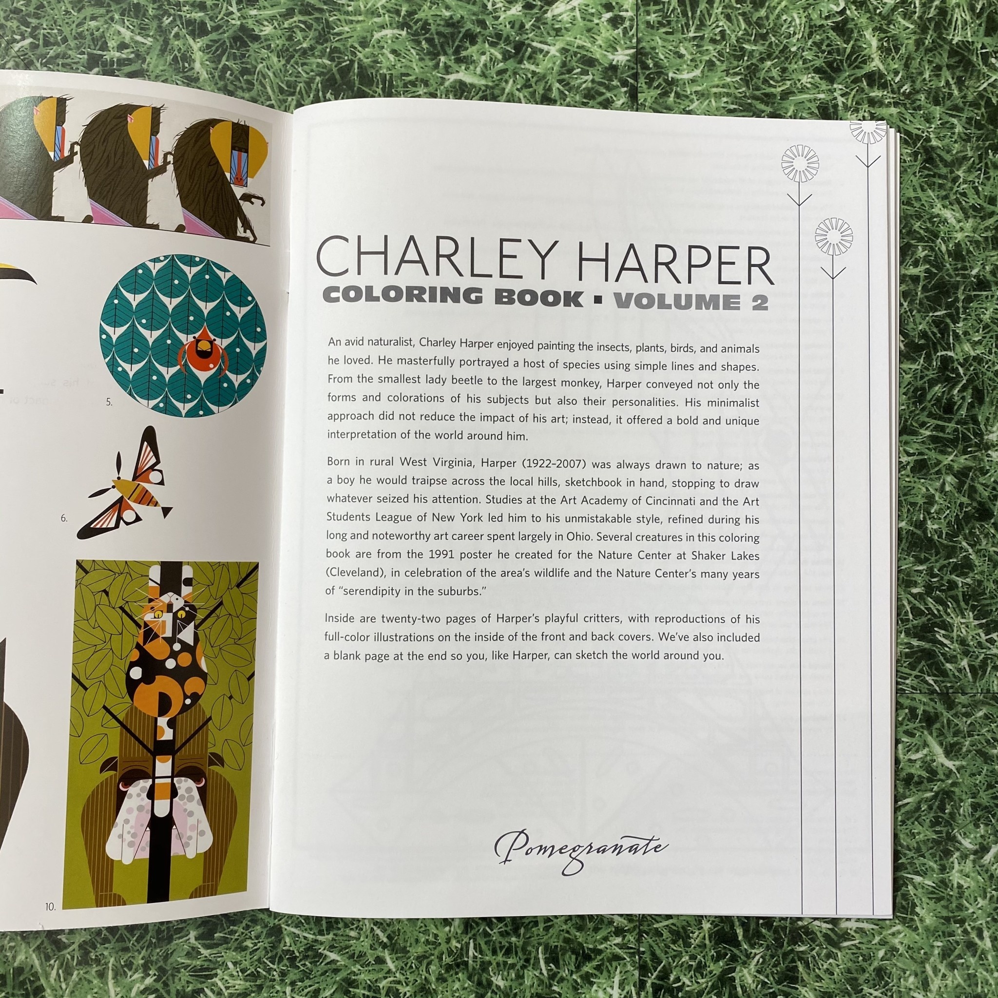 Pomegranate Colouring Book Charley Harper