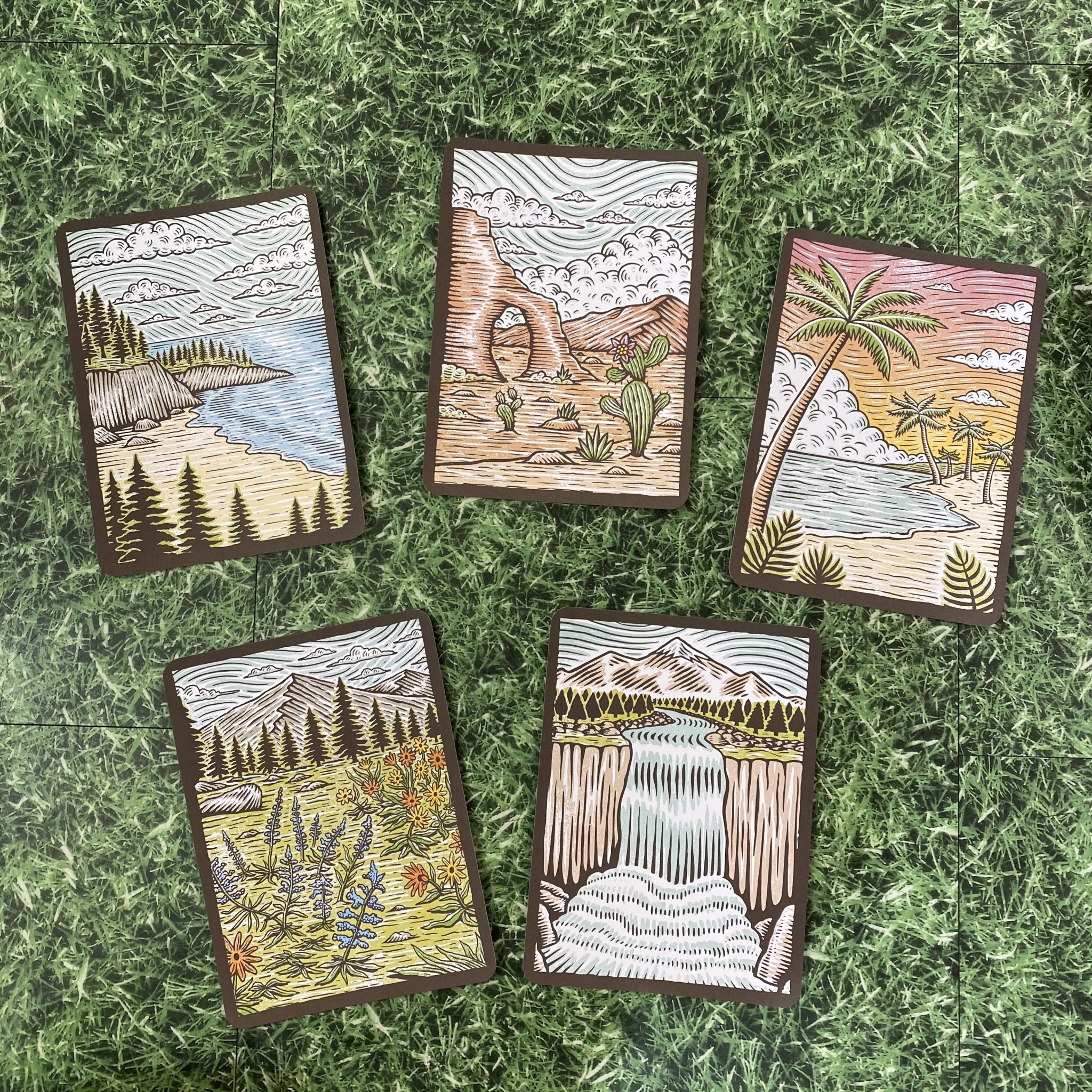 Chronicle Books Great Outdoors Notecards