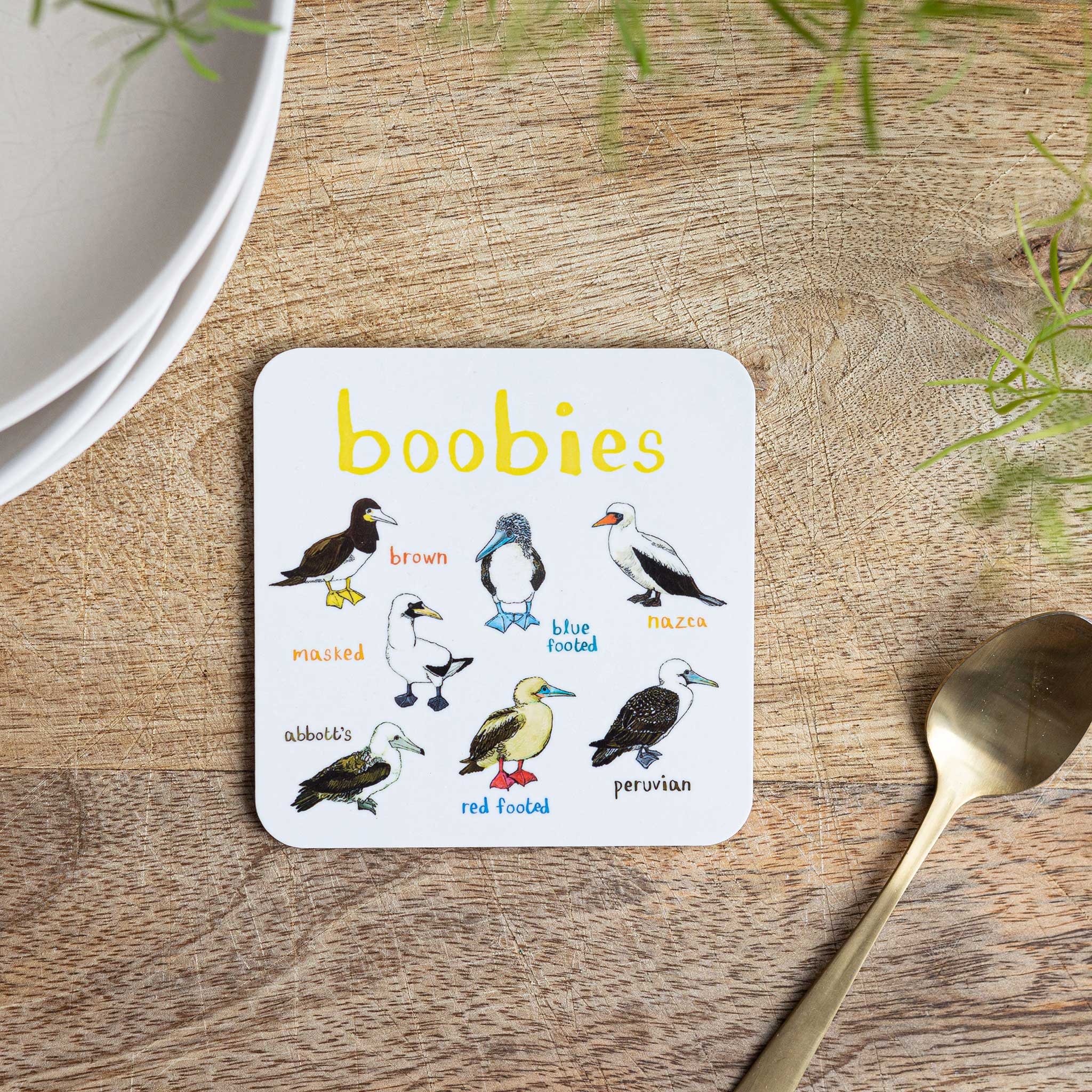 Sarah Edmonds Boobies Coaster