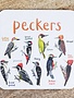 Sarah Edmonds Peckers Coaster