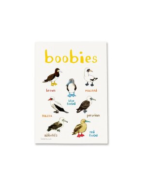 Sarah Edmonds Boobies Print A4