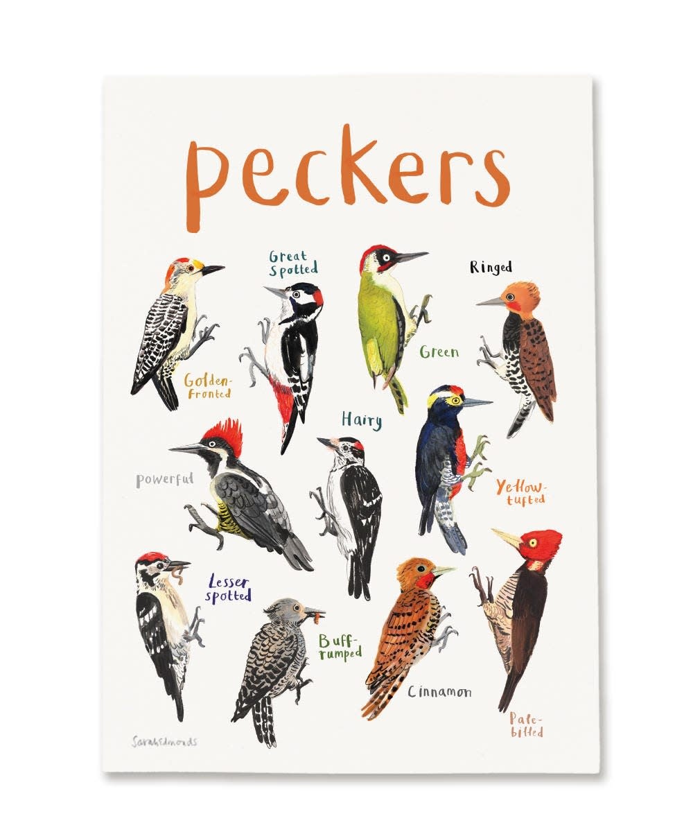 Sarah Edmonds Peckers Print A4