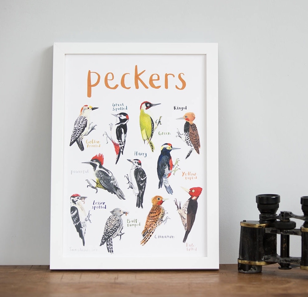 Sarah Edmonds Peckers Print A4