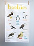 Sarah Edmonds Boobies Tea Towel