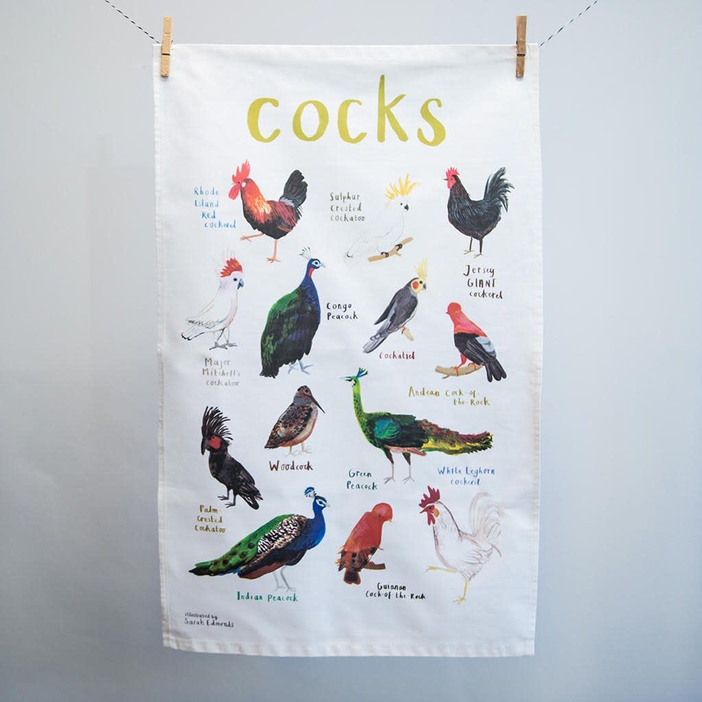 Booby Bird Fowl Language Dish Towel - Unique Gifts - Sarah Edmonds