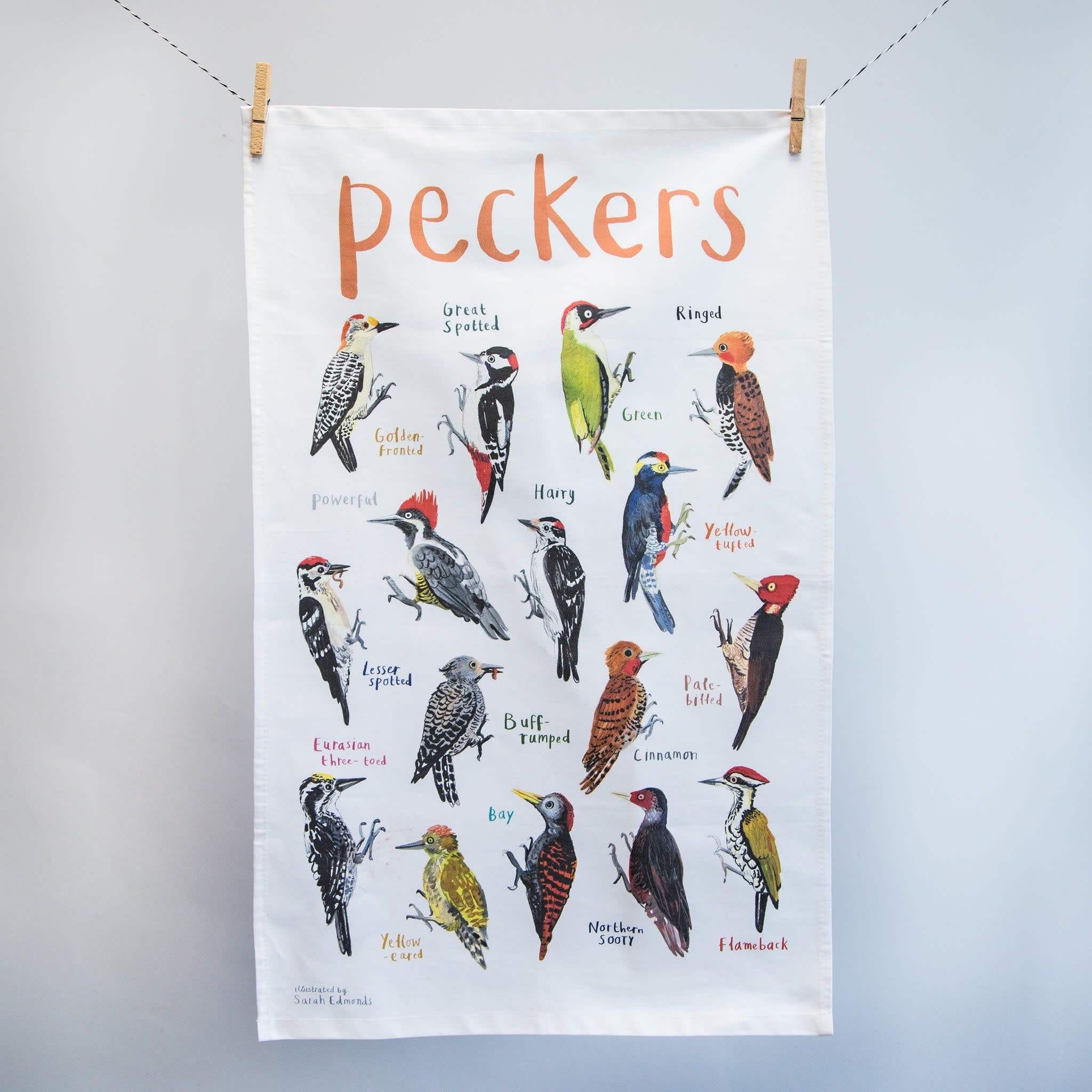 Booby Bird Fowl Language Dish Towel - Unique Gifts - Sarah Edmonds