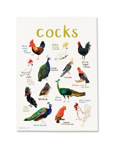 Cocks Teatowel - Detail Retail Ltd