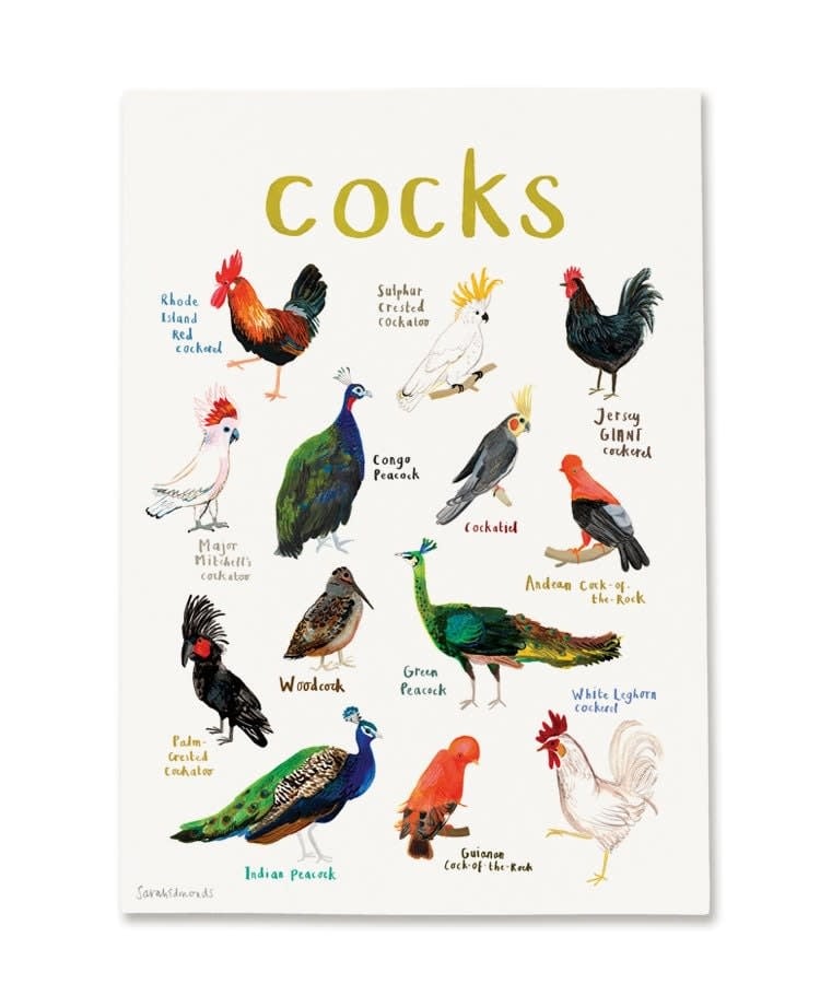 Sarah Edmonds Cocks Print A4