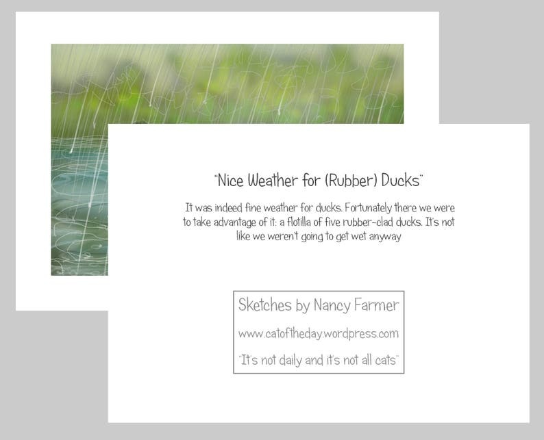 Nancy Farmer Nancy Farmer Card 'Nice Weather For Rubber Ducks'