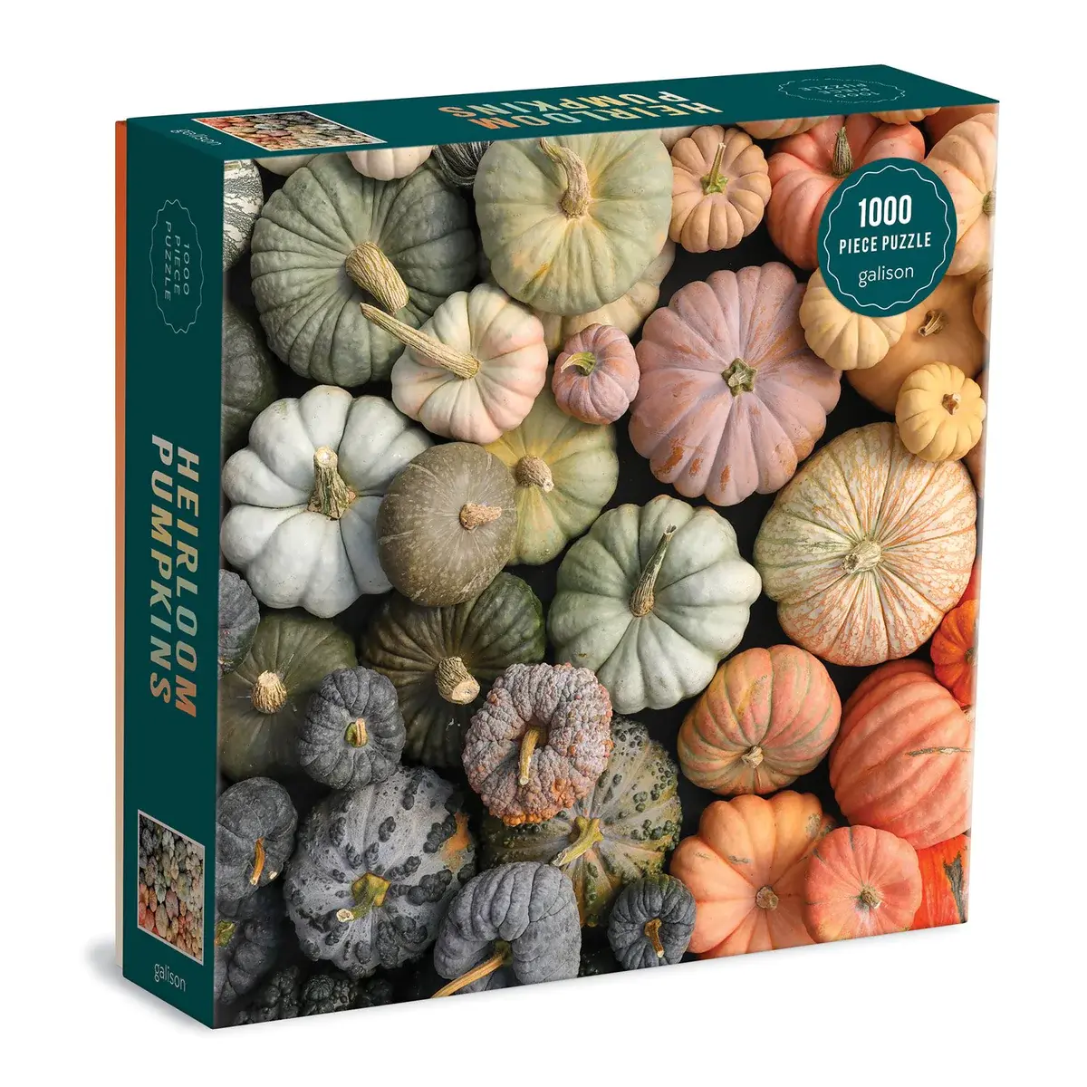 Galison 500 Piece Puzzle Heirloom Pumpkins