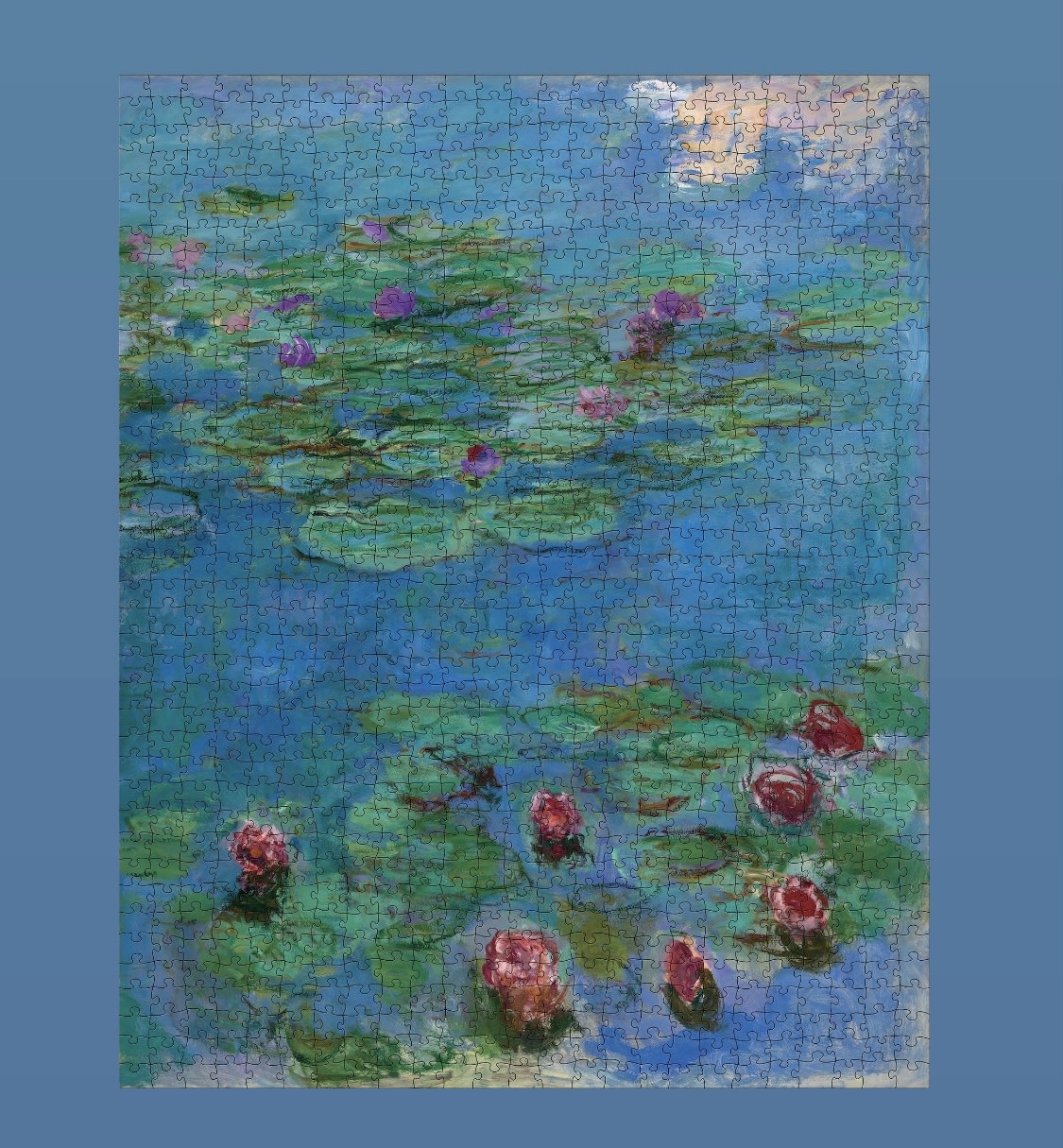 Pomegranate 1000 Piece Puzzle Water Lillies