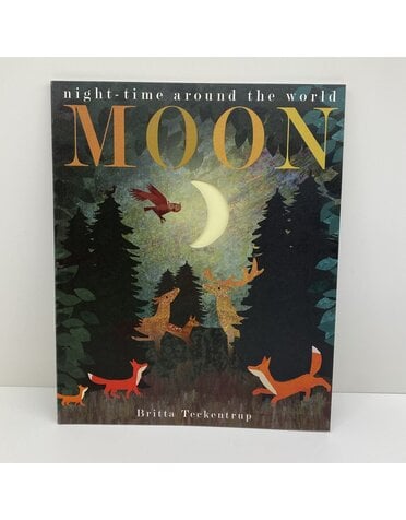 Bookspeed Moon: Night-Time Around The World