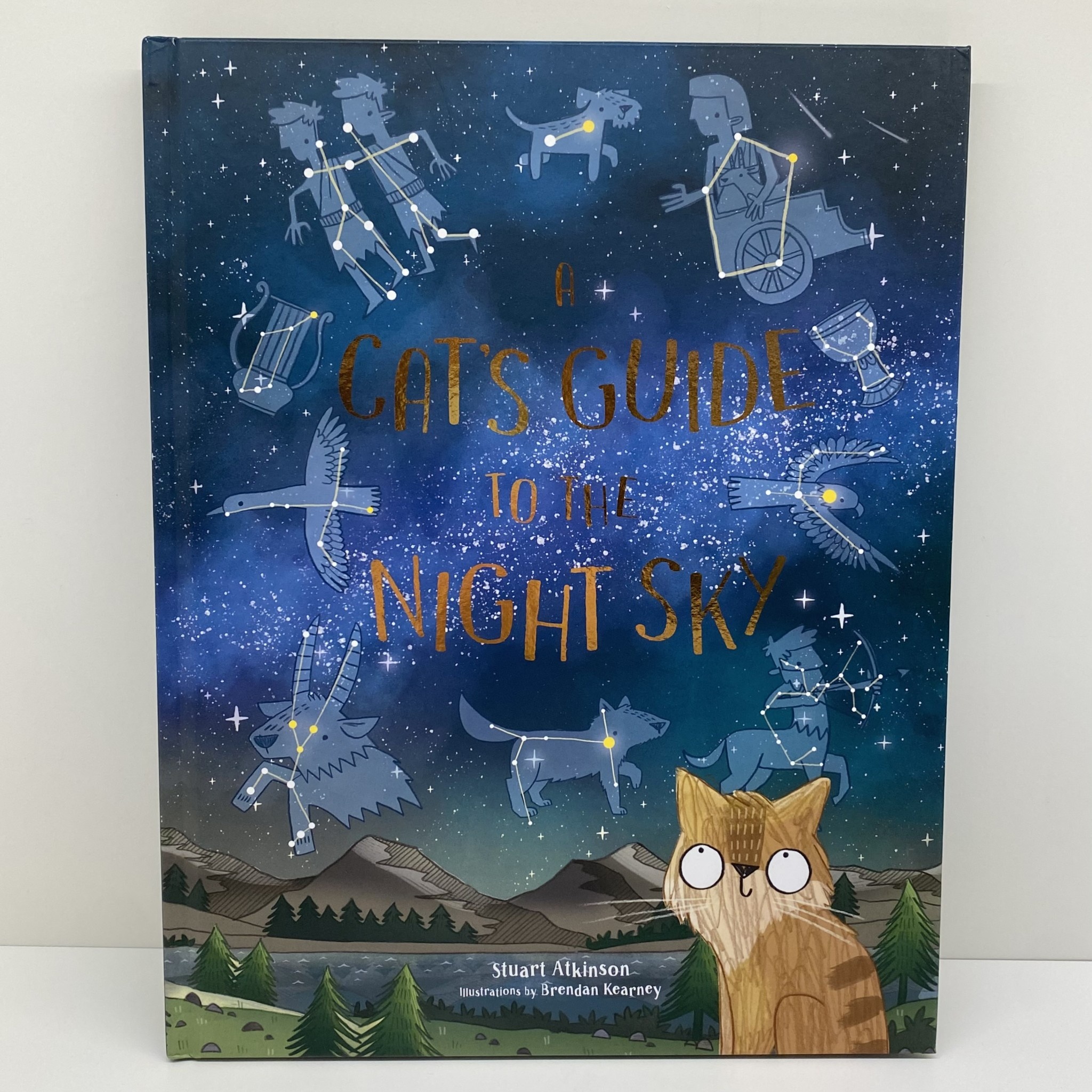 Laurence King A Cat’s Guide To The Night Sky