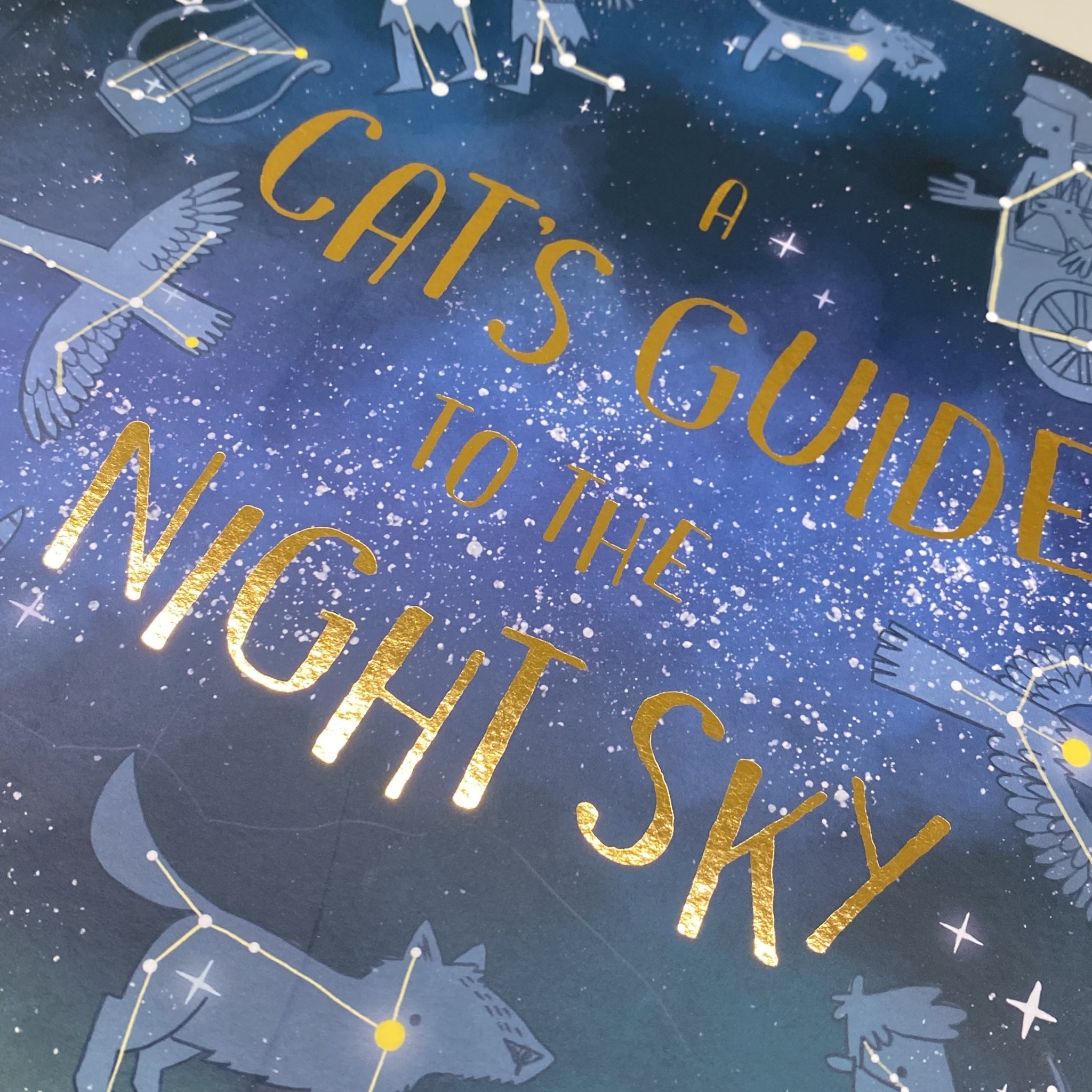 Laurence King A Cat’s Guide To The Night Sky