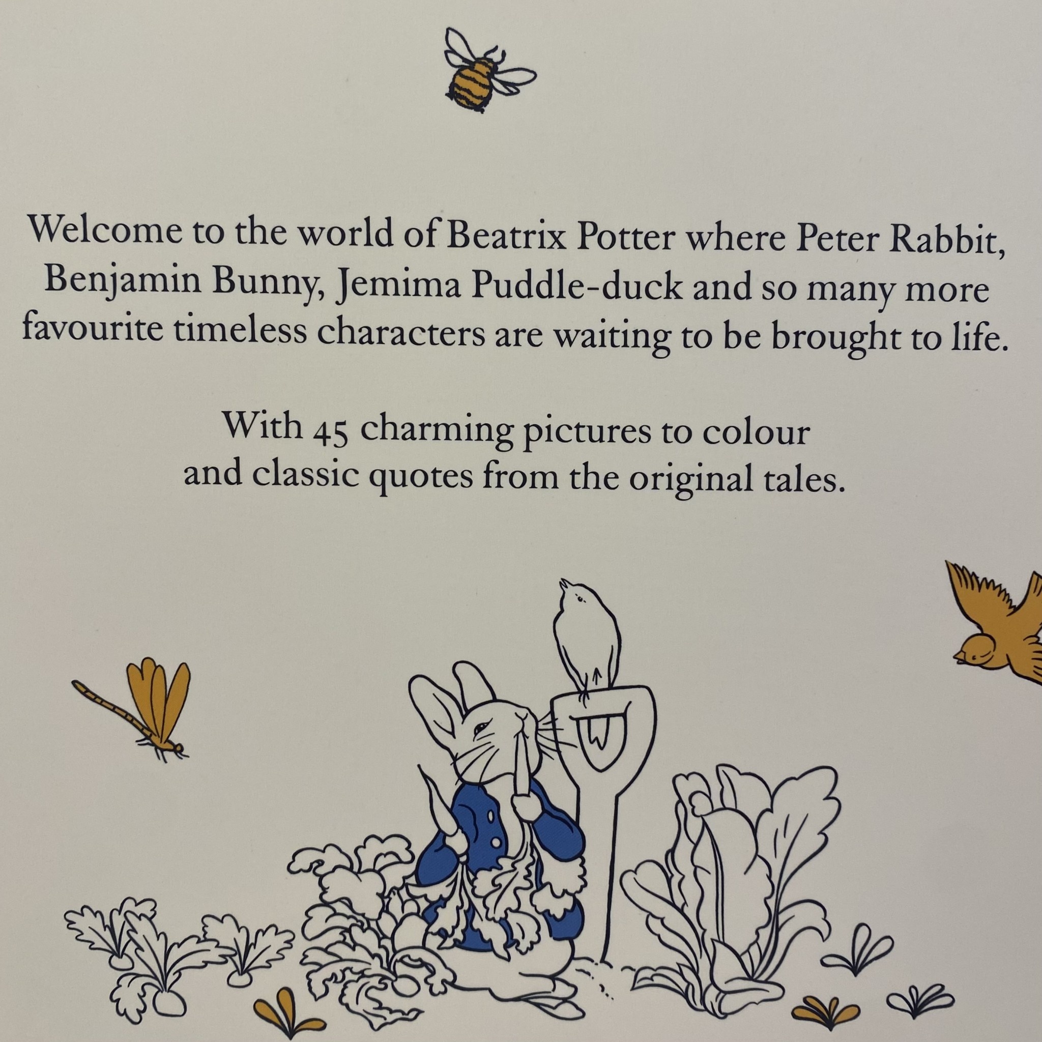 Bookspeed Beatrix Potter Colouring Book