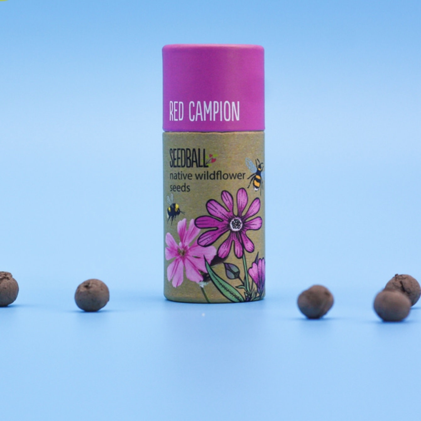 Seedball Seedball Tube Wildflower Collection
