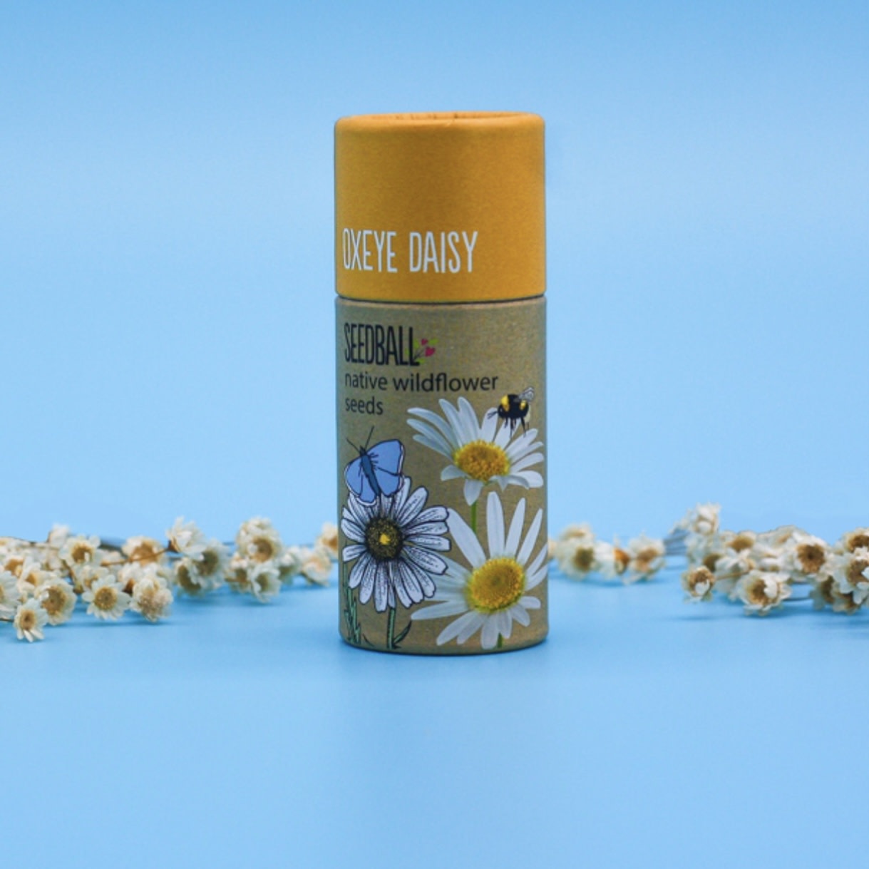 Seedball Seedball Tube Wildflower Collection