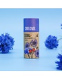 Seedball Seedball Tube Wildflower Collection