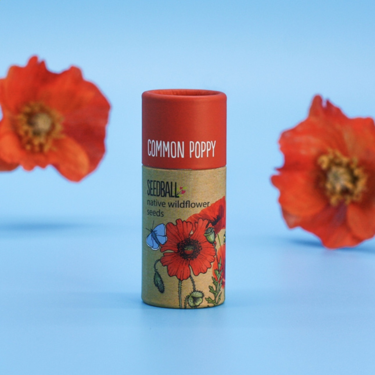 Seedball Seedball Tube Wildflower Collection