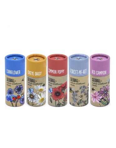 Seedball Seedball Tube Wildflower Collection
