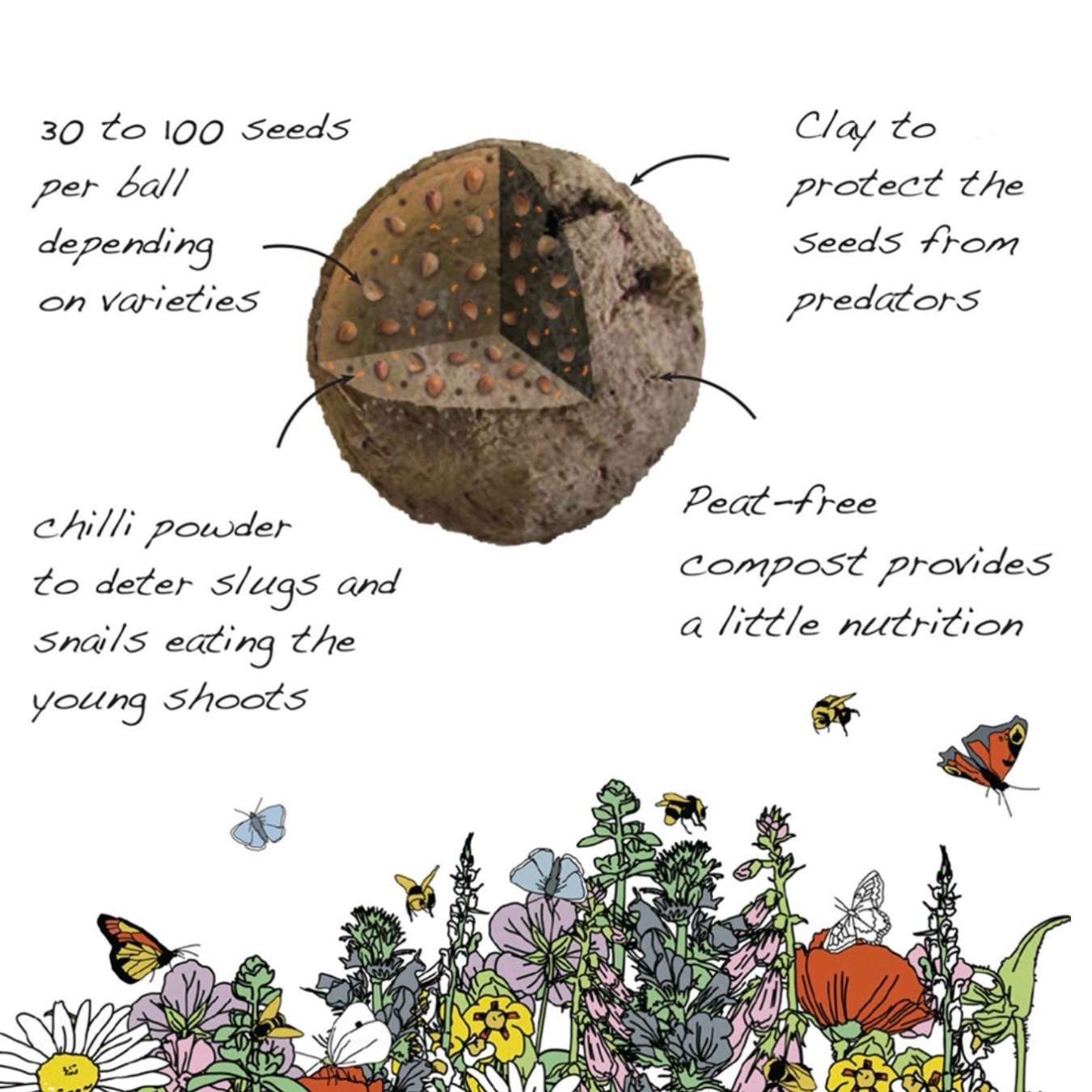 Seedball Seedball Tube Wildflower Collection
