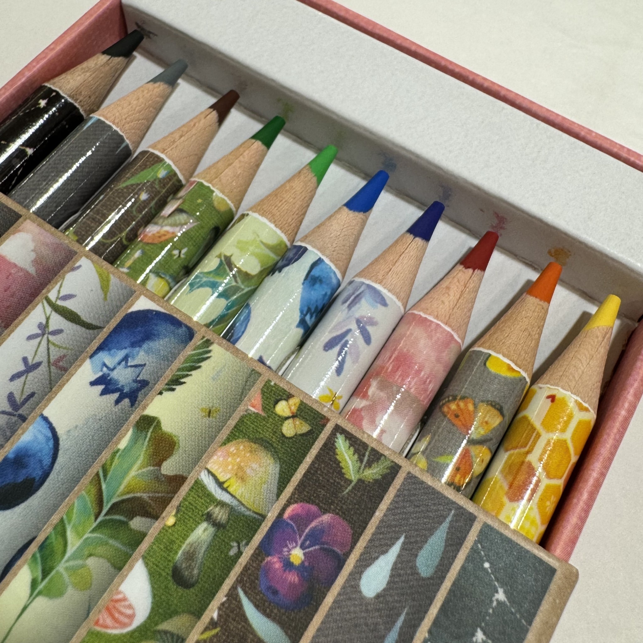 Chronicle Books Wanderlust & Wildflowers Pencil Set