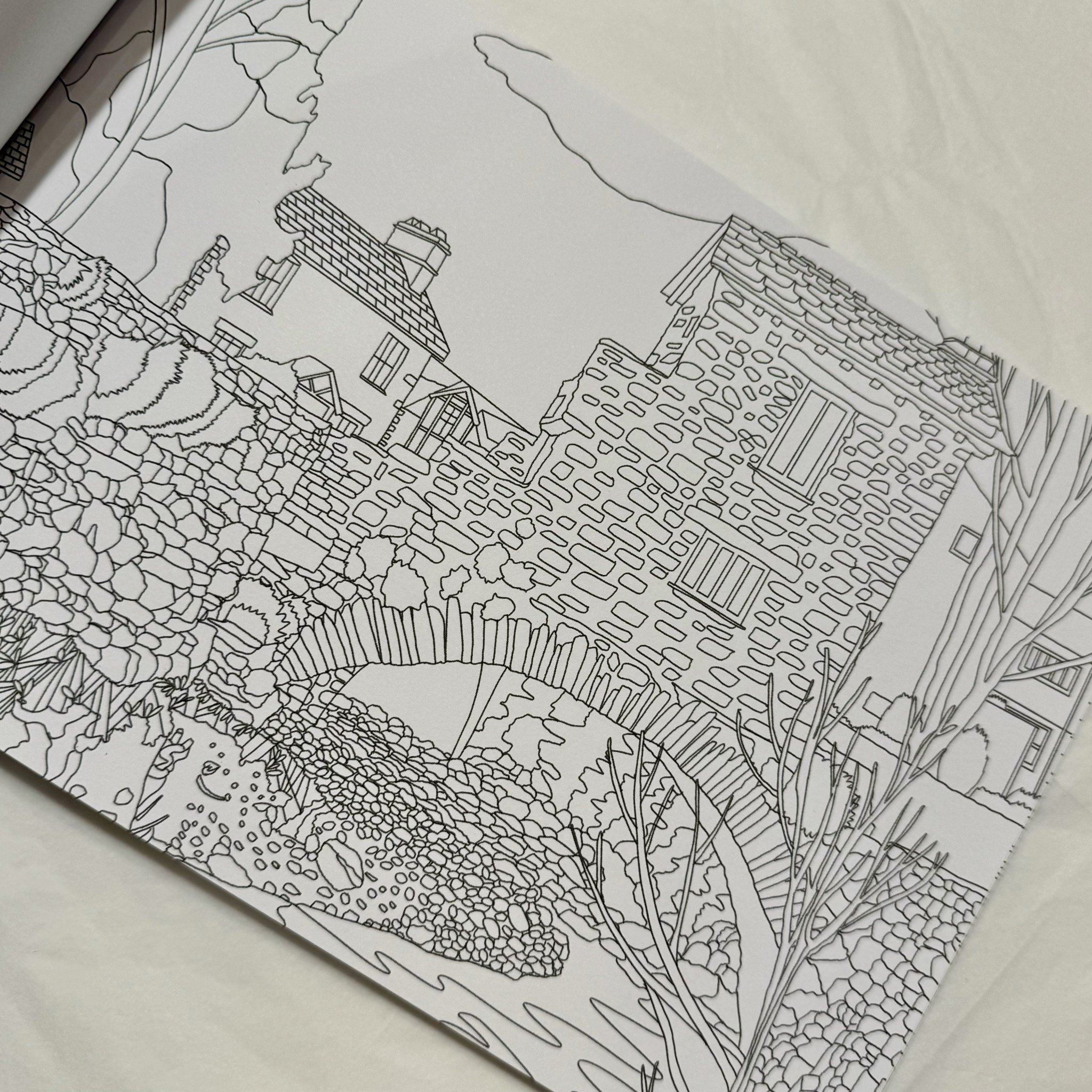 Bookspeed The Cumbria Colouring Book