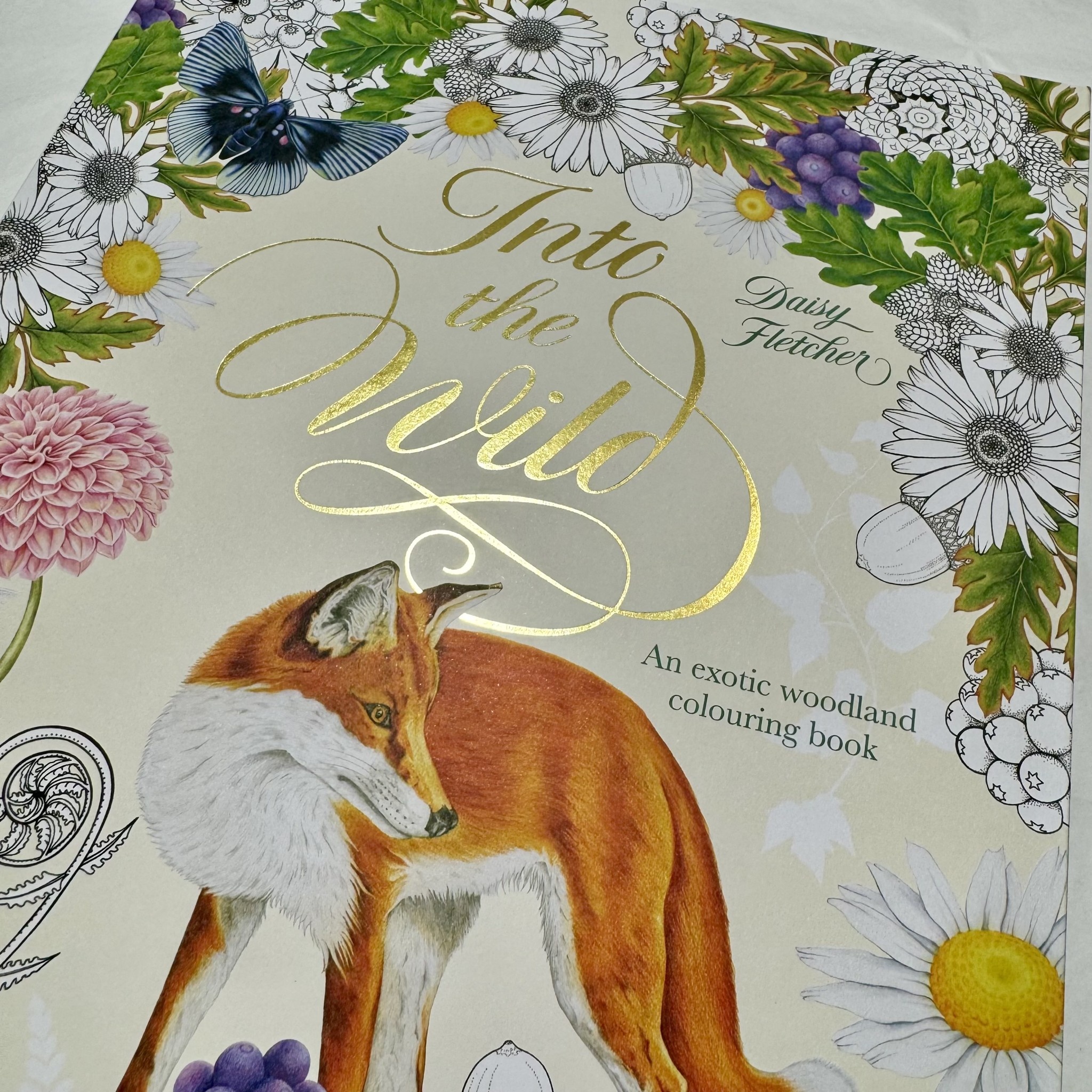 Laurence King Into The Wild Colouring Book