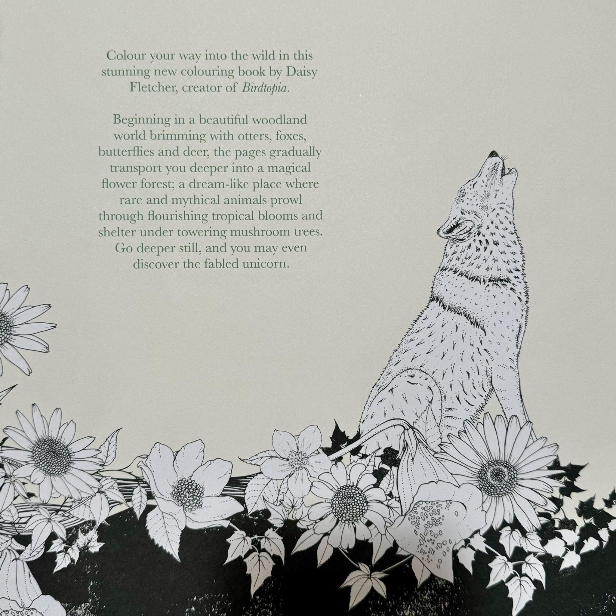 Laurence King Into The Wild Colouring Book
