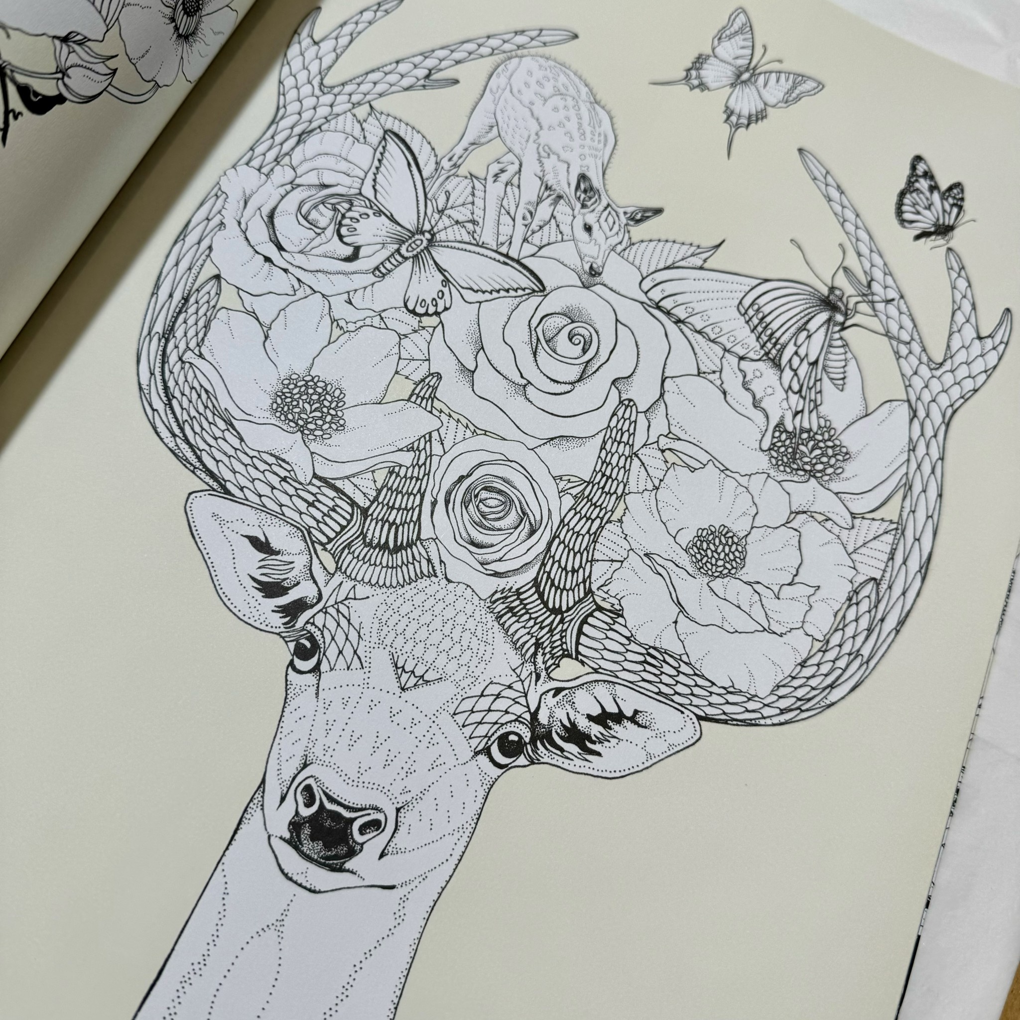 Laurence King Into The Wild Colouring Book