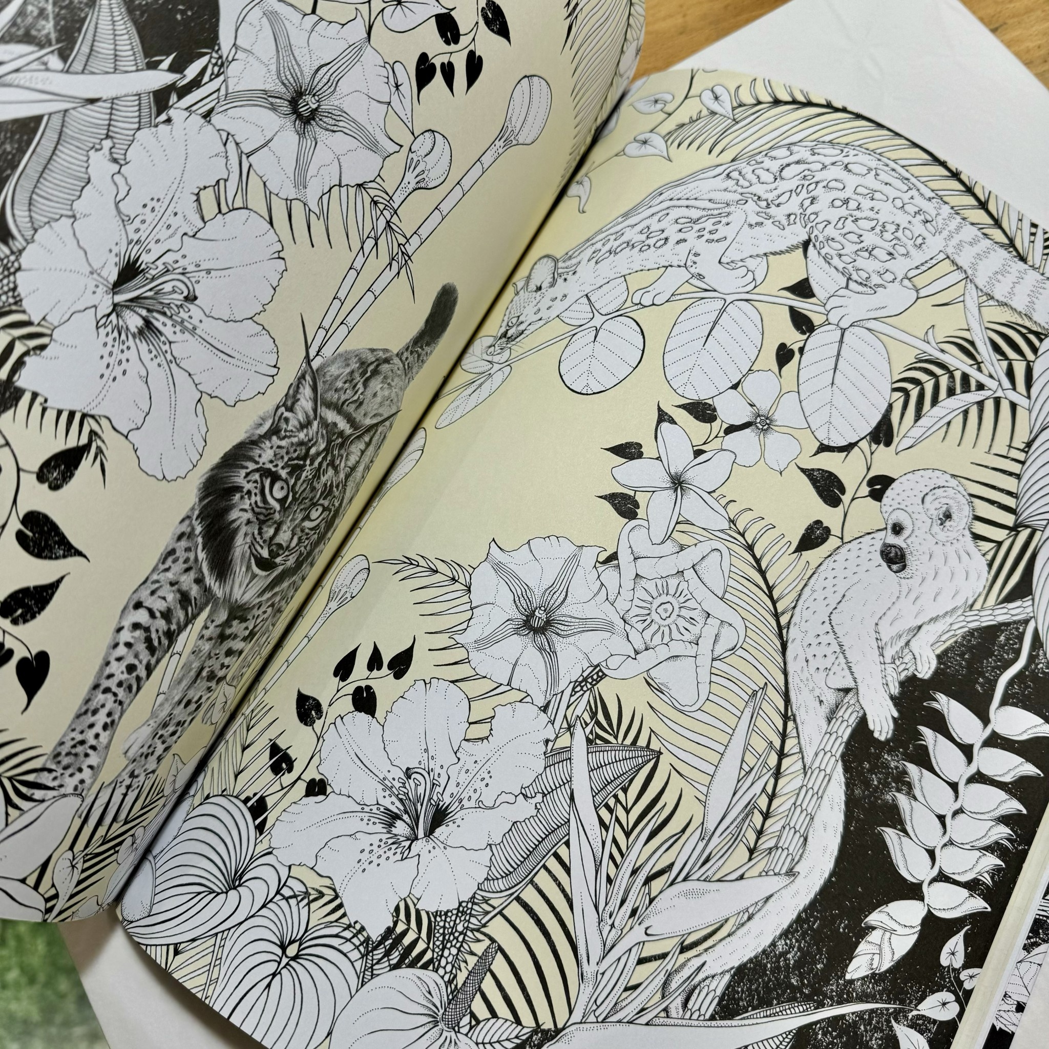 Laurence King Into The Wild Colouring Book