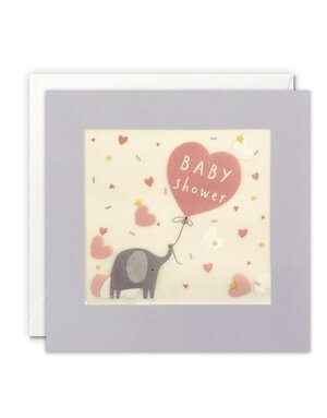 James Ellis Confetti Baby Shower DIS